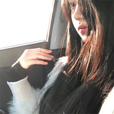 野狗们